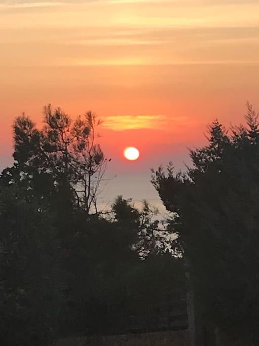 Apartment Baia Cofano